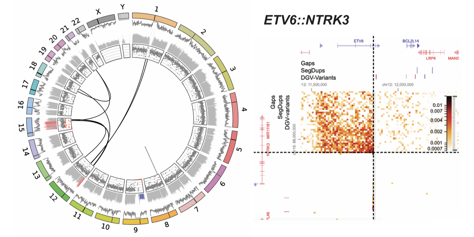 AACR 2025 Sarcoma Poster Figure-1 AACR 2025 Sarcoma Poster Figure-1